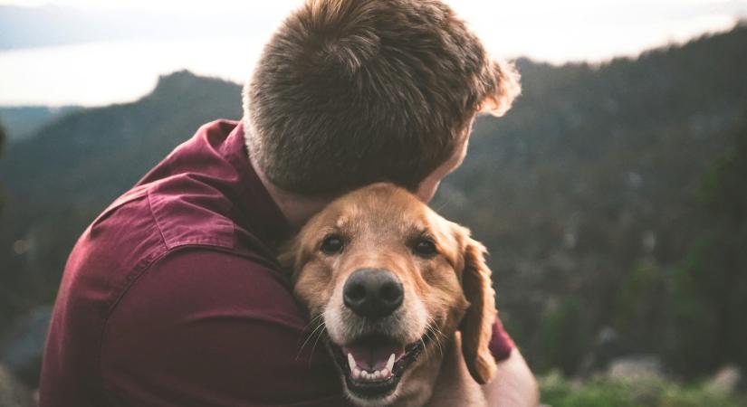 Mi kell ahhoz, hogy a kutyád ne csak boldog legyen, de a legjobb barátoddá is váljon?