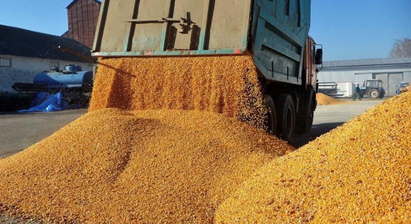 EU vámot fog kivetni az orosz gabonaimportra