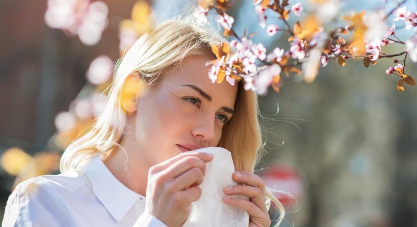 Itt a tavaszi szénanátha – A legjobb természetes gyógymódok allergiára
