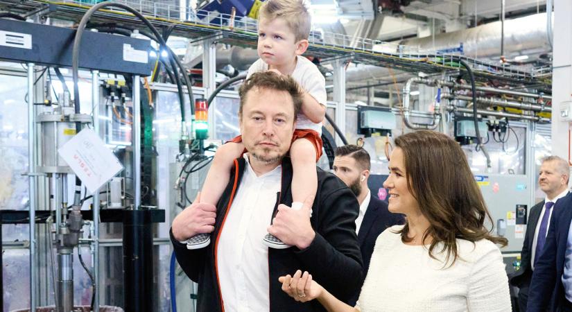 Elon Musk arra kéri a melegeket, hogy vállaljanak gyerekeket