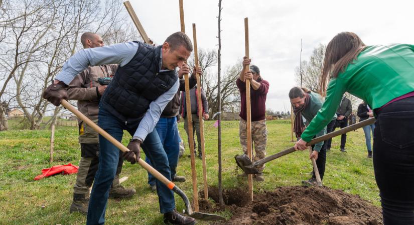 “10 ezer fát ültetünk” – lapátot ragadtak a debreceni politikusok