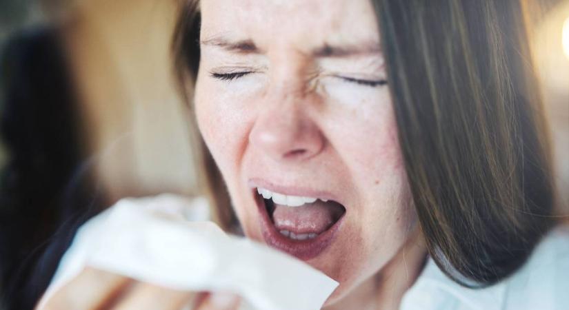Jó hír az allergiásoknak: enyhülés jöhet