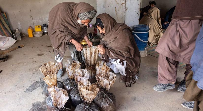 Működik a drogellenes stratégia Afganisztánban