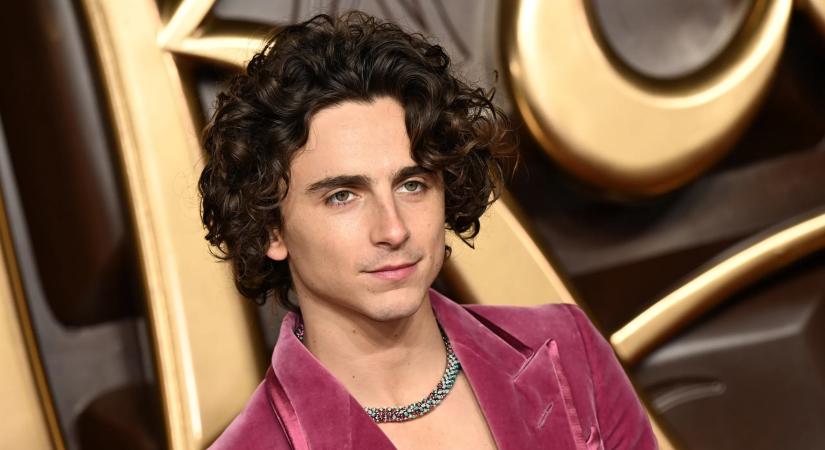 Timothée Chalamet legutóbbi két filmje összesen 1,2 milliárd dollár bevételt ért el