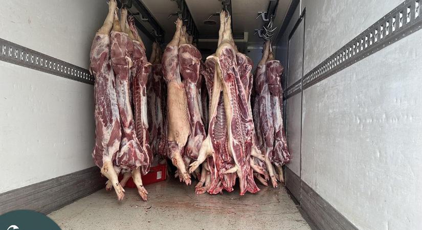 2,5 tonna rothadásnak induló húst találtak a NAV pénzügyőrei Békésben