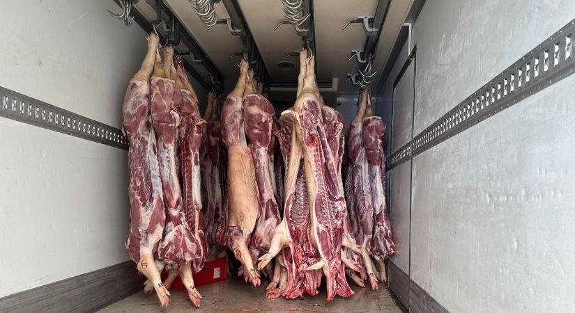 Több mint két tonna rohadt húst foglalt le a hatóság