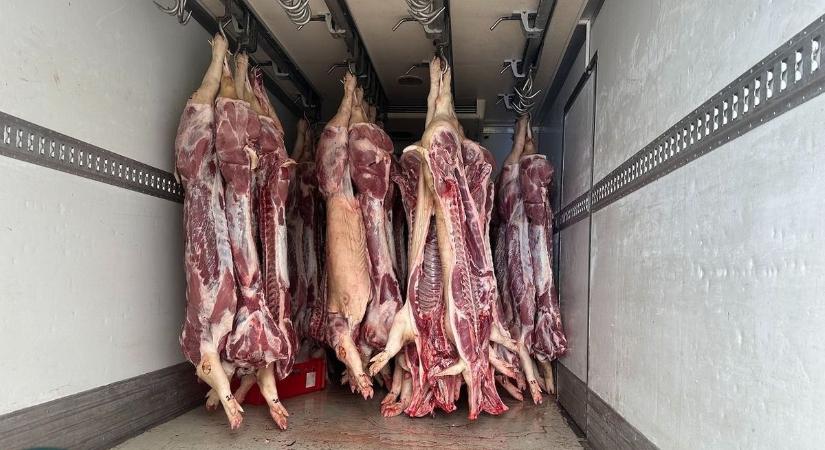 2,5 tonna romlott húst találtak Békésben egy teherautóban - videóval