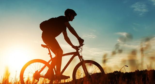 Egyre népszerűbb a kerékpáros turizmus Németországban