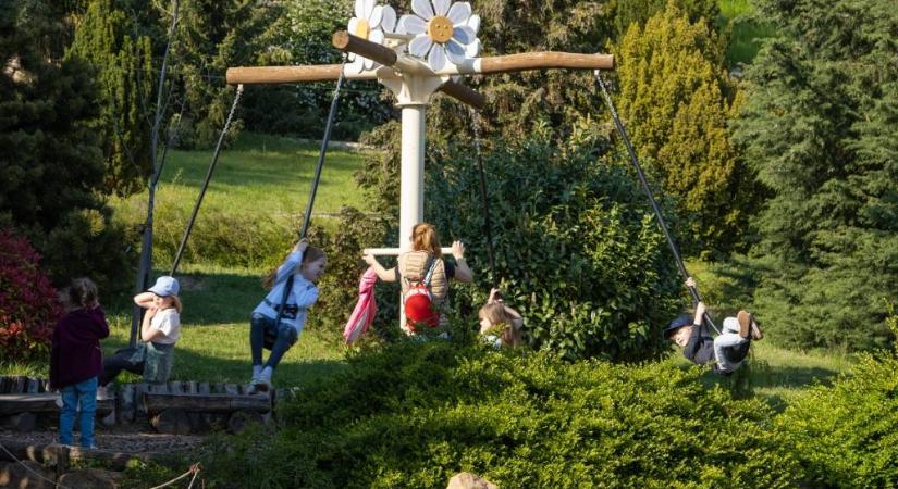 Különleges új programokkal várja a látogatókat a tavaszi szünettől a Folly Arborétum