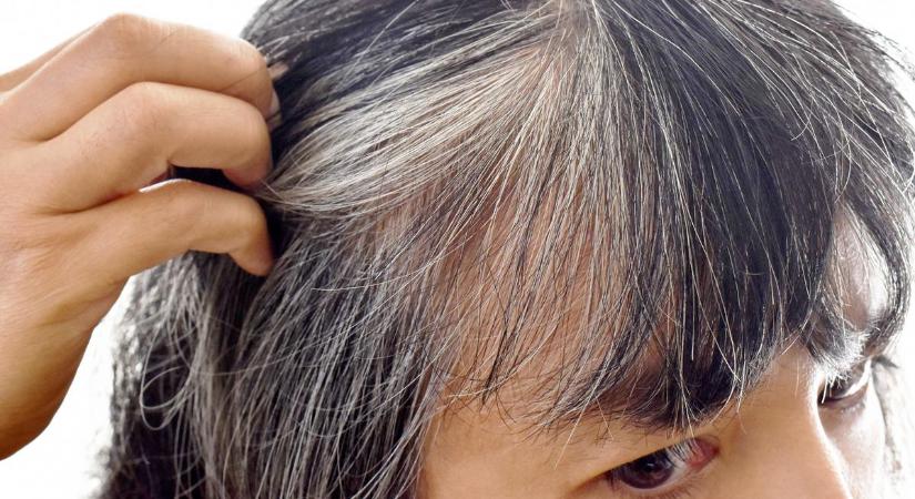 Az ötvenes őszülő, öreges hajú nő fodrásza nagyot döntött. Olyat tett a frizurájával, hogy 10 évet fiatalabbnak látszik máris