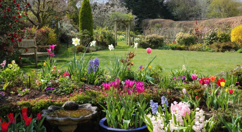 Irány a kert áprilisban is! – Ez lesz a legmozgalmasabb kerti hónapod az évben