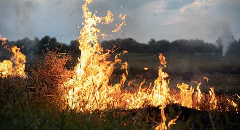 Szabadtéri tüzek adtak munkát a hajdú-bihari tűzoltóknak