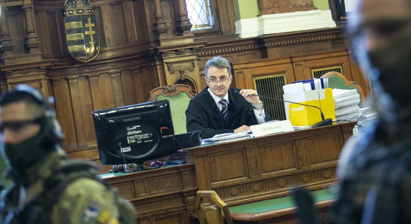 Ma bíróság elég áll Portik Tamás fia, aki kávéval öntötte le a Fenyő-gyilkosságot vezető bírót