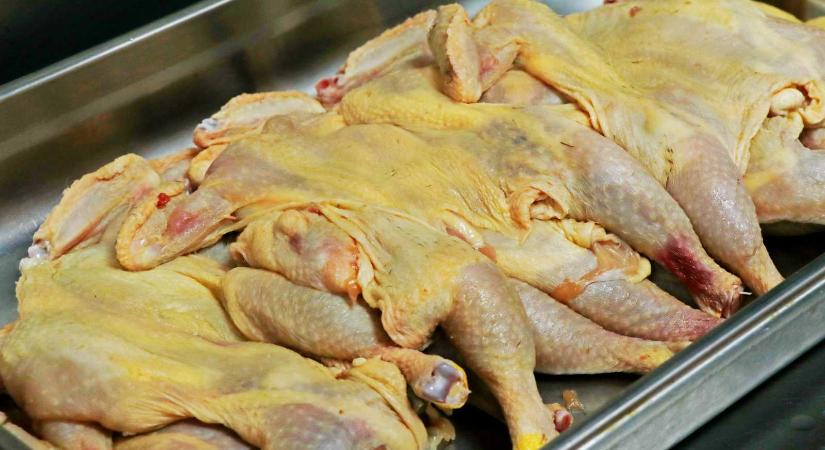 A fogyasztóvédelem hadat üzent a színezékkel sárgított csirhehúsnak