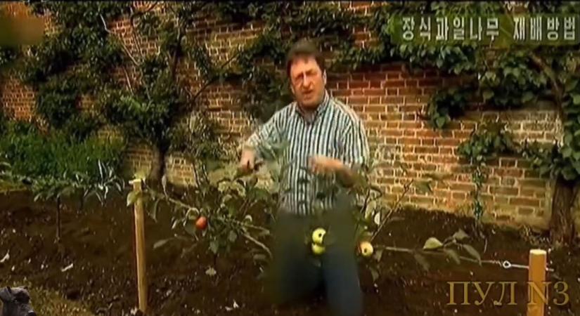 Kicenzúrázták Észak-Koreában a brit műsorvezető farmernadrágját