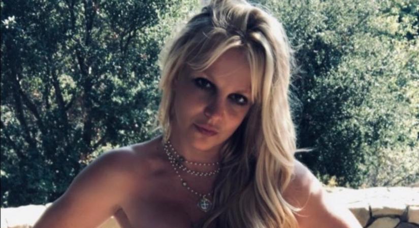 Britney Spears jól elrejtette legújabb meztelen fotóját