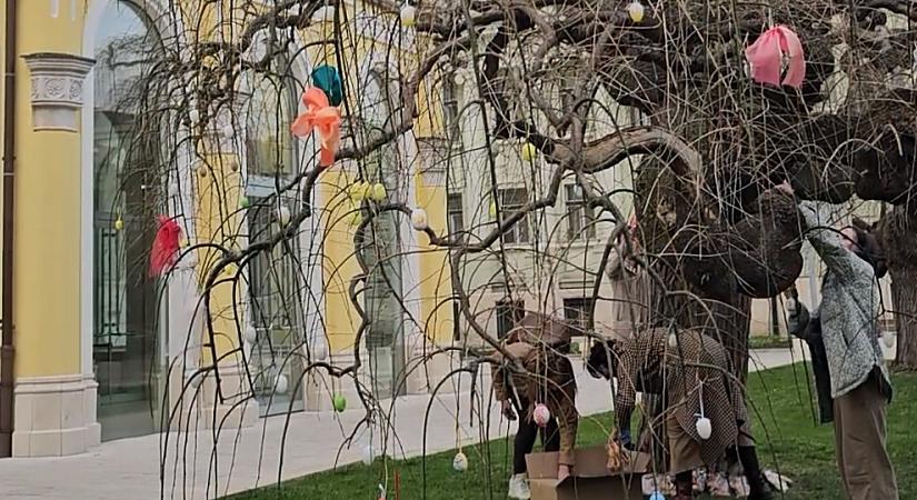 Közösen díszített húsvéti fát a debreceni Csokonai Nemzeti Színház társulata – fotókkal