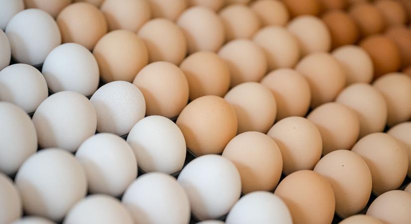 Lesz elegendő tojás húsvétra?