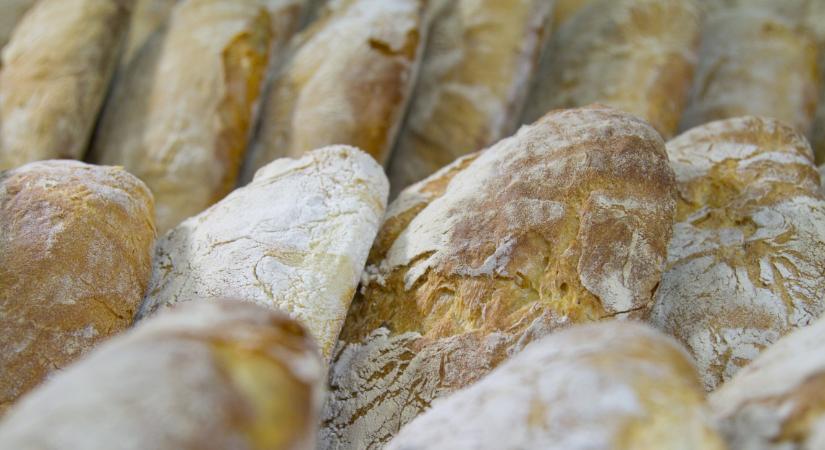 Őrült finom kenyerek készülnek ebben a vidéki pékségben: sorra nyerik a díjakat, mégis mi a titkuk?