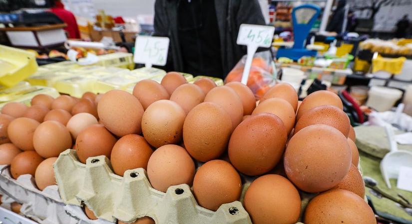 A nagy húsvéti tojásvadászat, nagy különbségek az árakban - Hol mennyibe kerül Vasban?