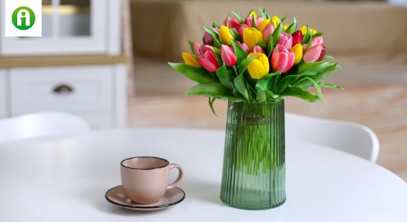Ezt tedd, ha nem csak pár napig csodálnád a vázában a tulipánod!