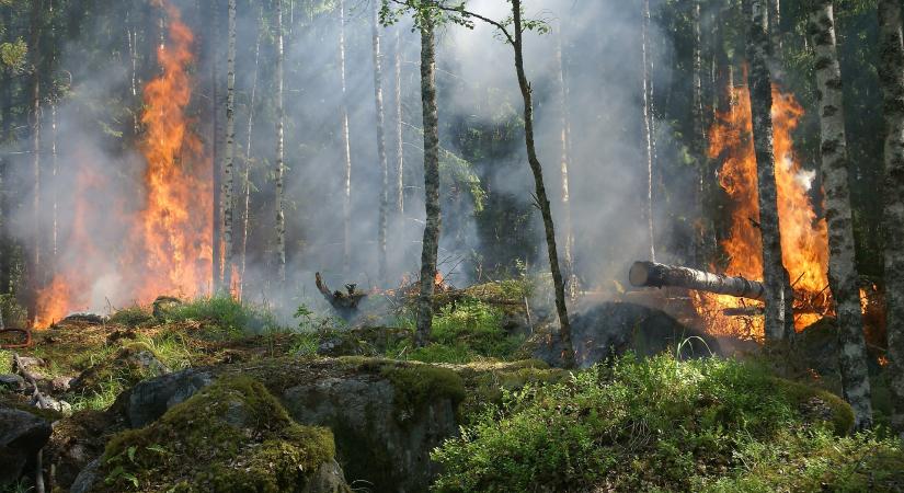 Az Egyesült Államok keleti hegyvidékén erdőtüzek tucatjai ellen küzdenek