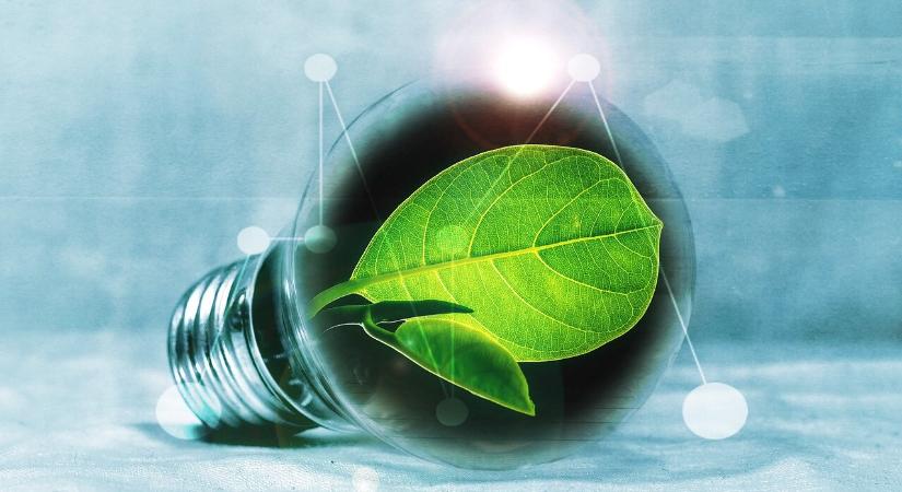 A zöld átállás nem lehet sikeres zöld innováció nélkül