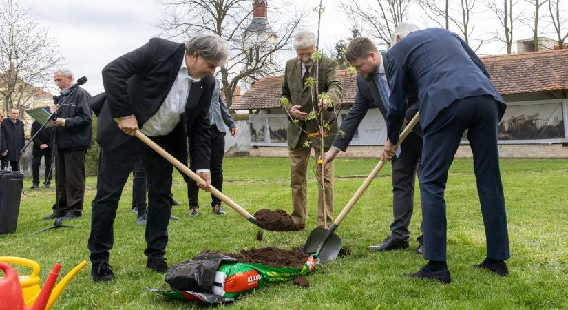 Tavaszi ébredés: almafát ültettek és tárlat is nyílt Szécsényben (fotók, videó)