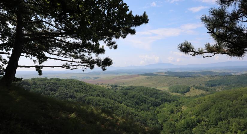 UNESCO címet kapott ez a csodálatos magyar erdő