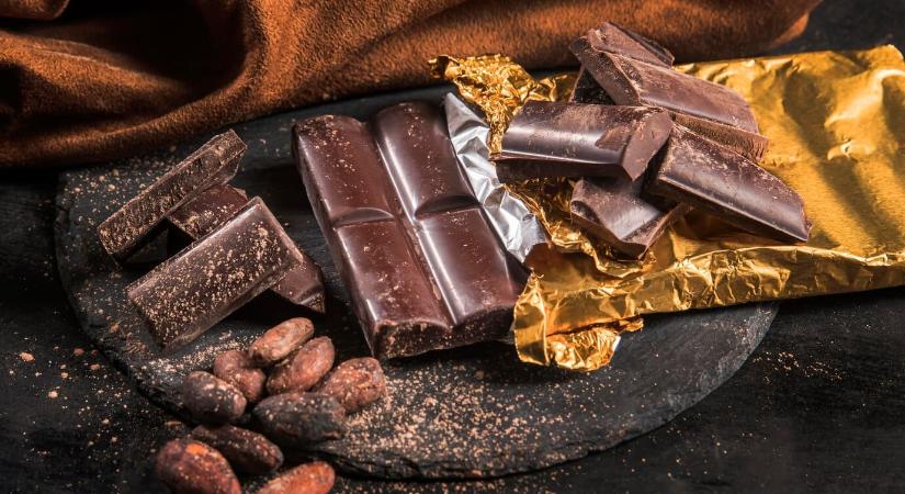 Lóbabból csoki – új alapanyag a láthatáron