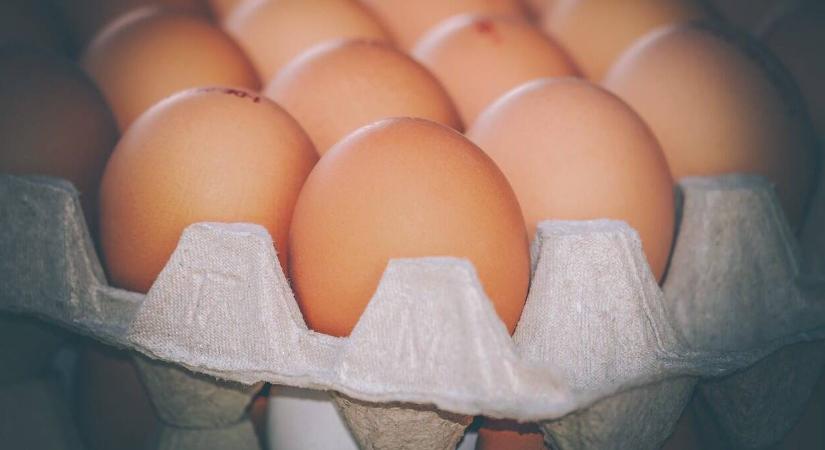 10 tudnivaló a tojásról