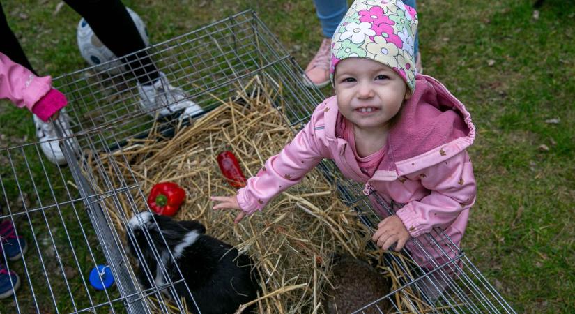 Elsöprő sikert aratott a kecskeméti húsvétra hangoló program – galériával