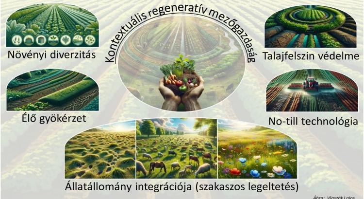 Talajmegújító mezőgazdaság: útmutató a termékenyebb földekért