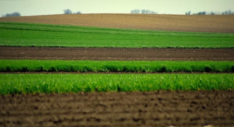 Az európai gazdák tovább tiltakoznak az ukrán gabona dömpingje ellen