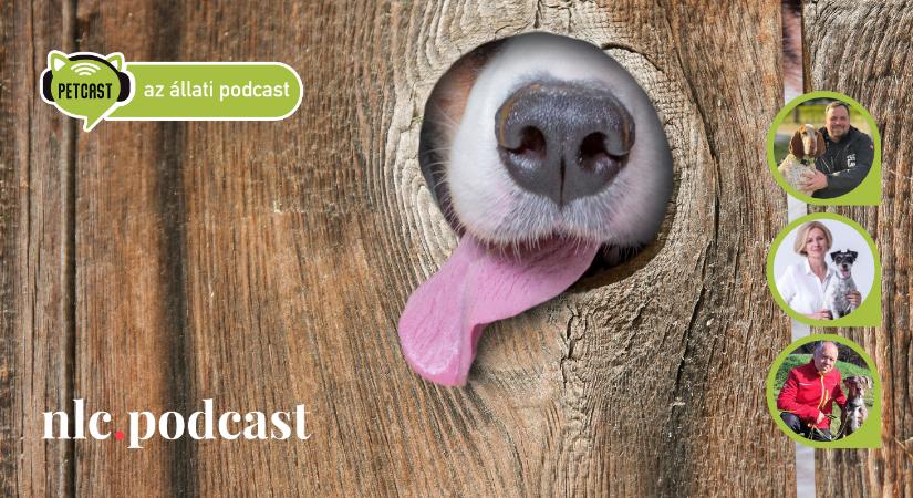 Petcast. Az állati podcast: Mantrailing: Amikor jó, ha a kutya megy az orra után
