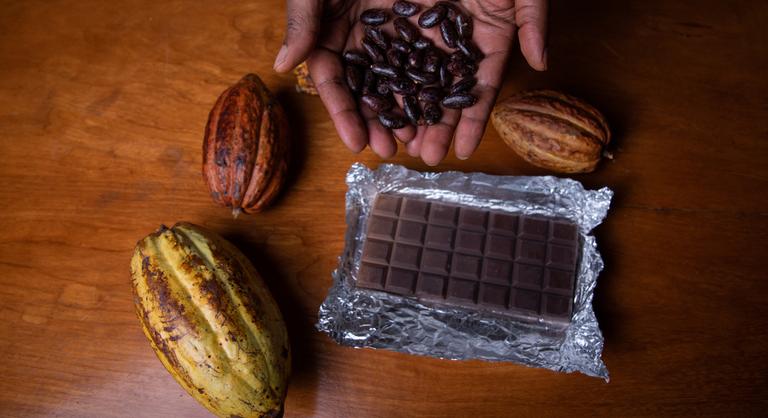 Krízisben a kakaótermesztés, megállíthatatlanul nő a csokoládé ára