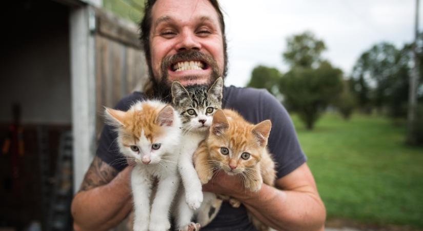 Így látnak világot a kamionos macskák – videón a mozgó hotel