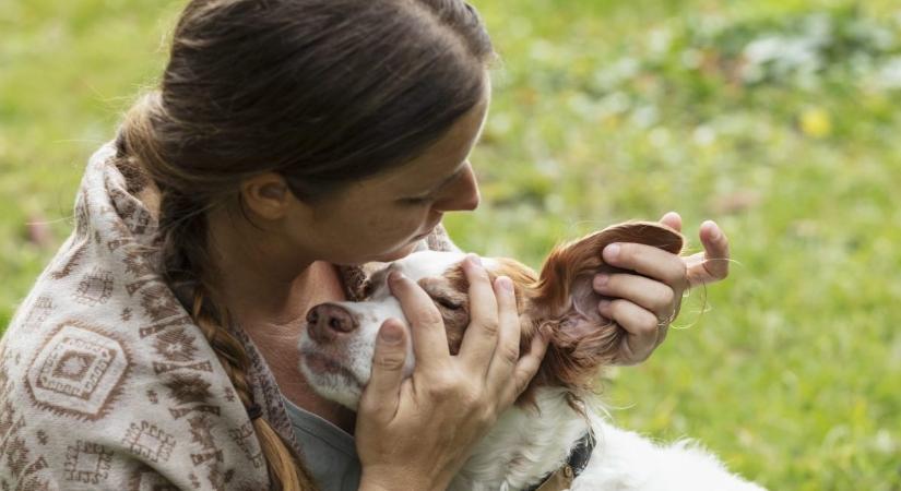 7 jel, ami azt mutatja, hogy a kutyádnak fülfertőzése van