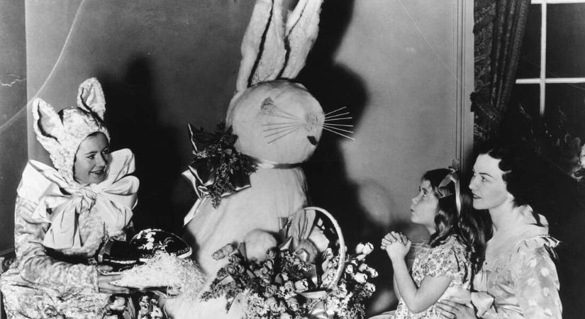 „Hol a szörny? A nyúl mögött? Nem! A nyúl az!” – A hátborzongató húsvéti nyuszis képek nyomában