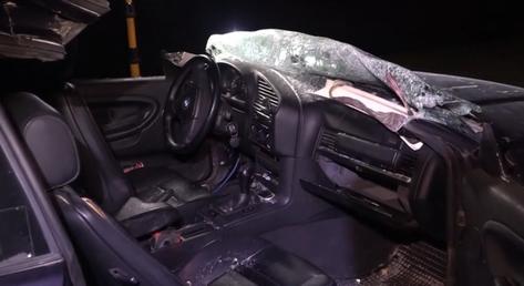 Egy 200 kilós szarvas zuhant egy autóra Kesztölcnél, az egyik utas azonnal szörnyethalt