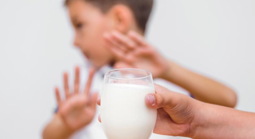 A bélbaktériumok segíthetnek a tejallergia leküzdésében