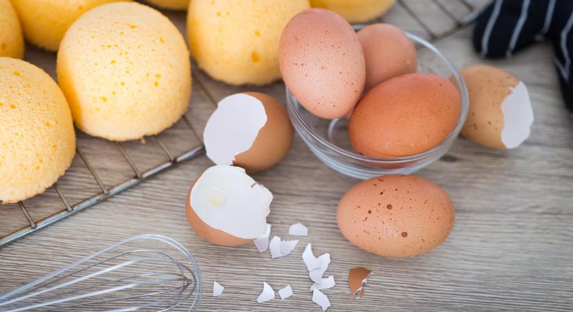 Heti 12 tojás megemeli-e a koleszterinszintet? A kutatókat is meglepte a válasz