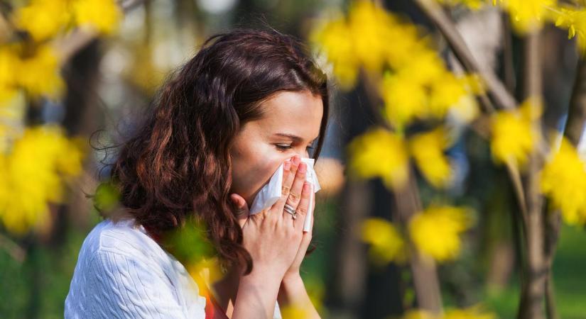 Allergia miatt szenvedsz? Ezzel a kezeléssel akár végleg megszabadulhatsz a betegségtől (Kiskegyed videó)