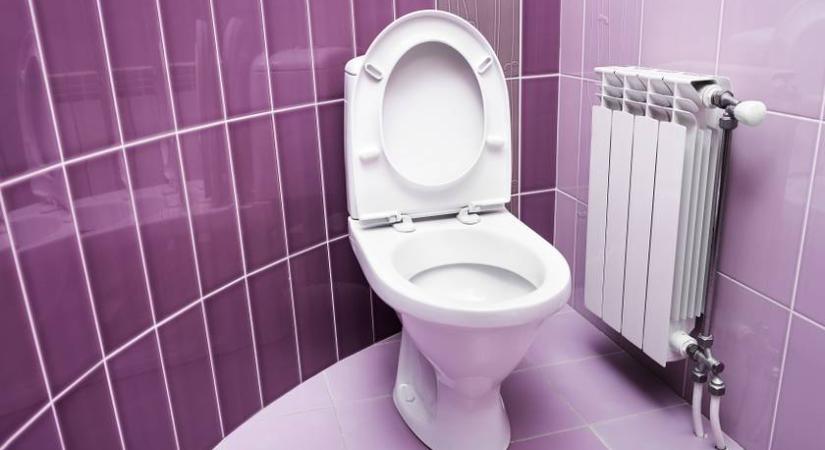 Így készíts vegyszermentes levendulás WC-fertőtlenítőt házilag – Nem kell hozzá sok dolog