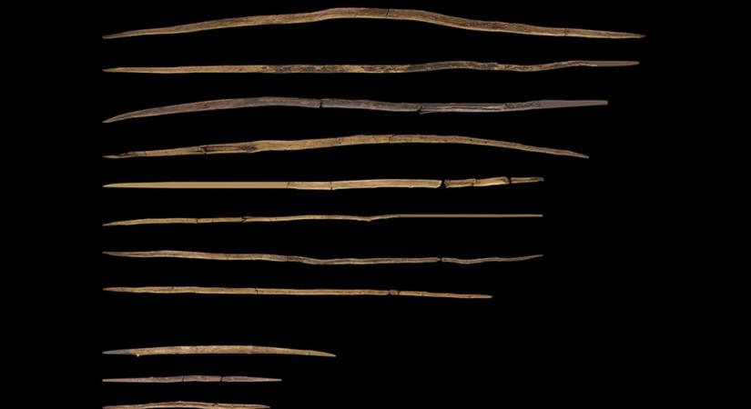 300 ezer éves faeszközök árulkodnak az emberelődök technológiai fejlettségéről