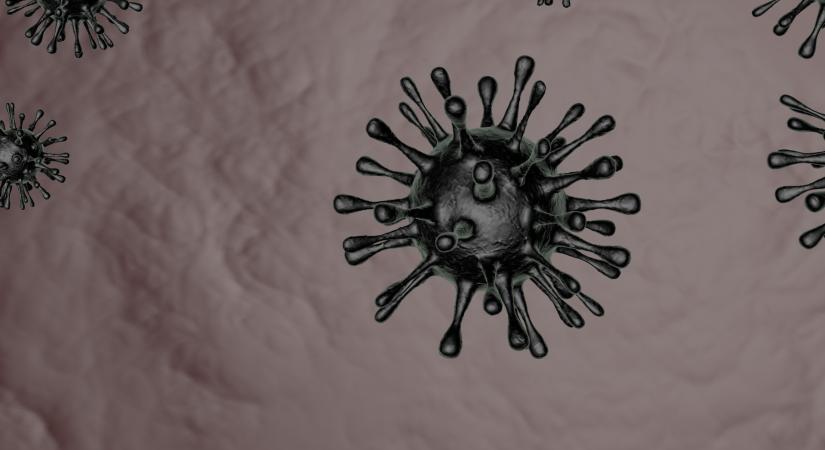 Ijesztő kapcsolatot találtak a koronavírus és a levegőminőség között