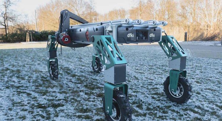 Robot, a szamóca teljesen autonóm betakarítására