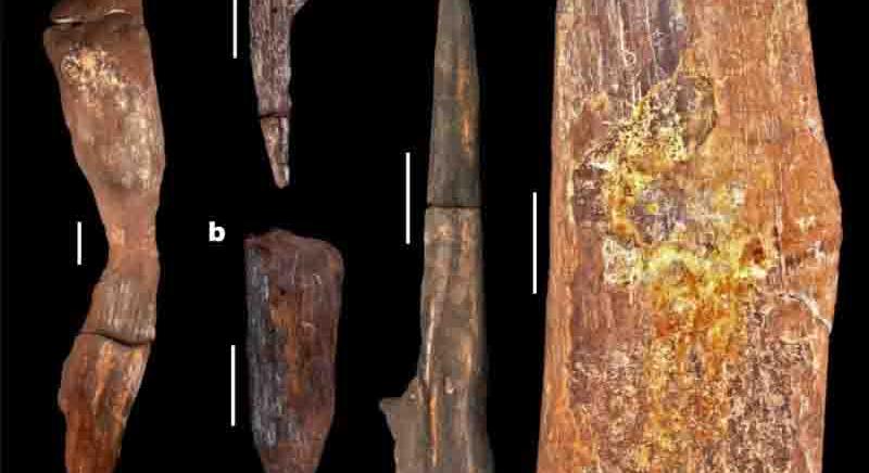 Félmillió éves, nem evilági faépítményt fedeztek fel Zambiában