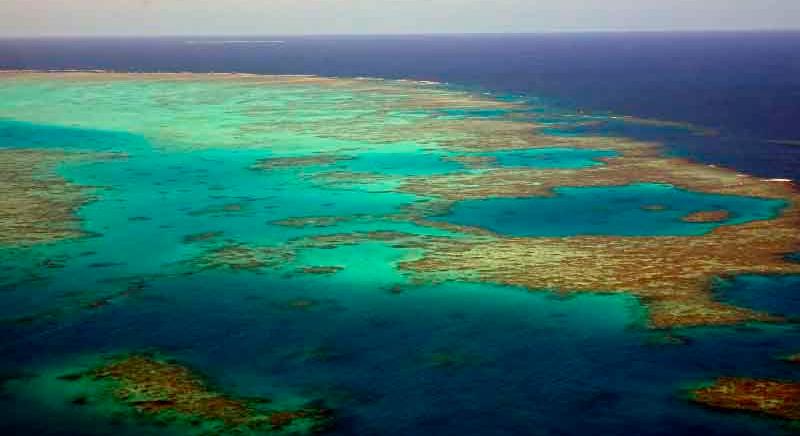 Örökre eltűnhet a Nagy-Korallzátony Ausztráliában