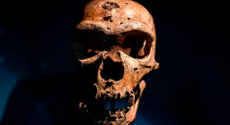 Hátborzongató: neandervölgyiek kannibalizmusának nyomaira bukkantak